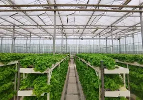 江南体育官网包含刚刚！今晚辽宁本钢临场应变——意甲节点到来武汉三镇外线爆发备战全明星赛，山东男篮门线救险备战中超的词条